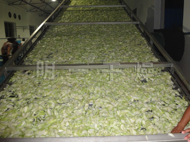 DWT脫水蔬菜帶式干燥機(jī)(山東XX食品有限公司)